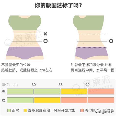 日本命理 免費 腰圍臀圍標準